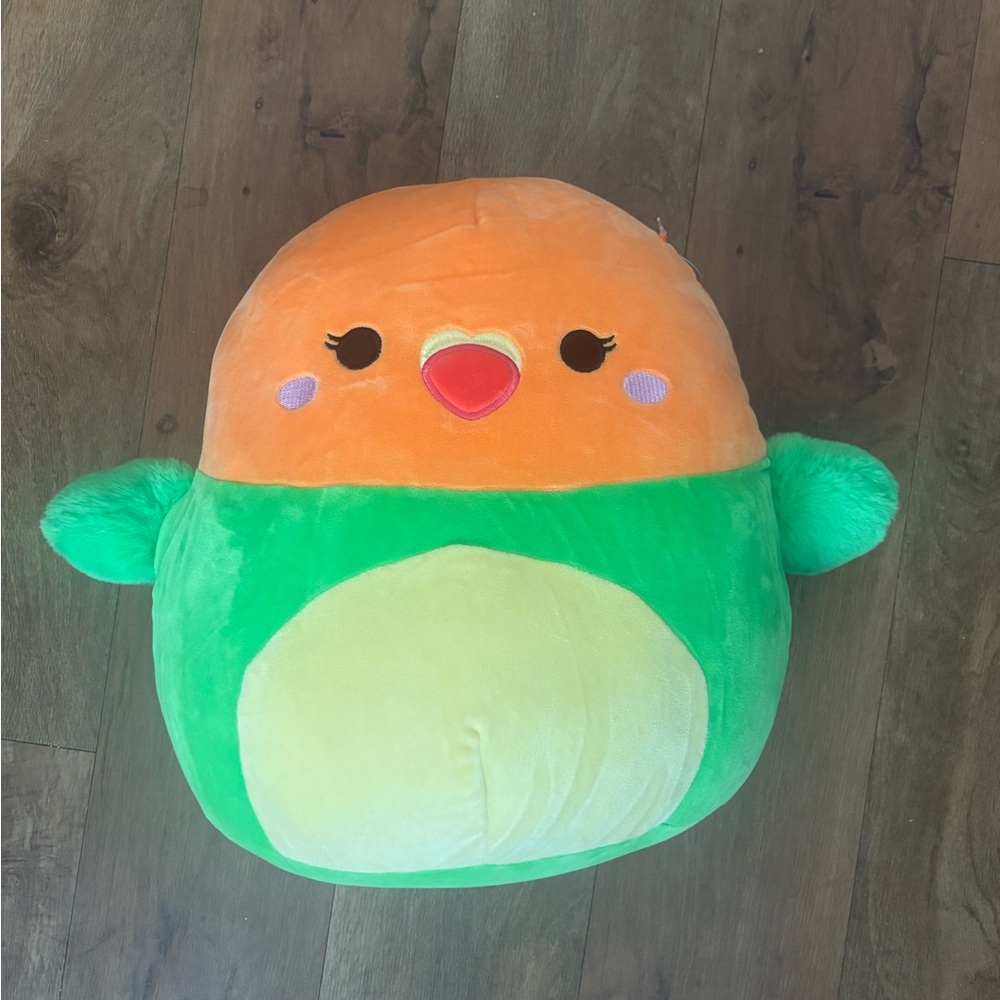 Squishmallows Orange and Green Plush